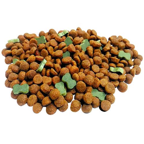 高品质的宠物供应商干狗食宠物食品