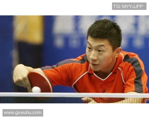 榆林市中小学生乒乓球羽毛球赛激情开战展现青春风采